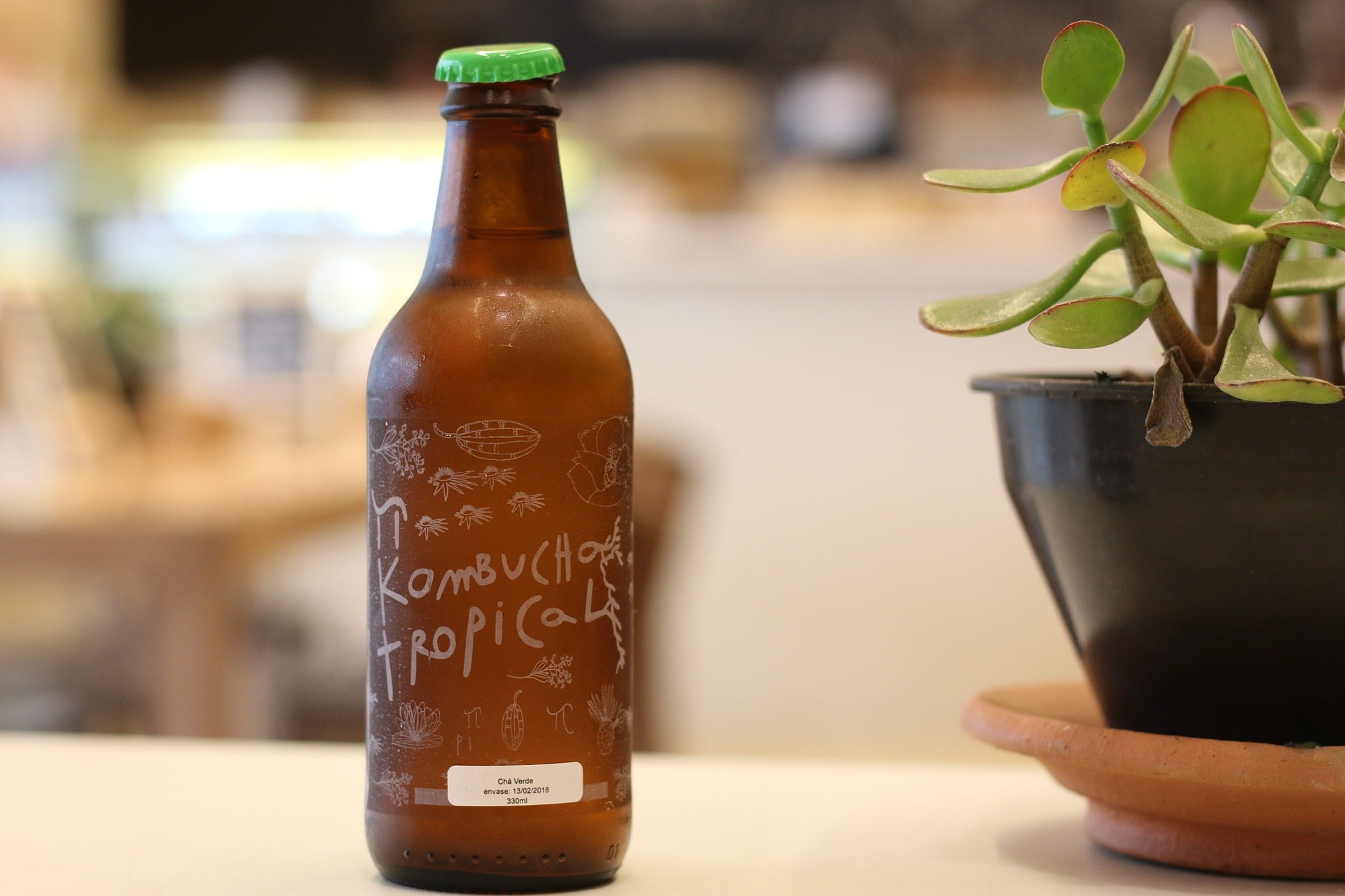 Kombucha - everything you need to know about it